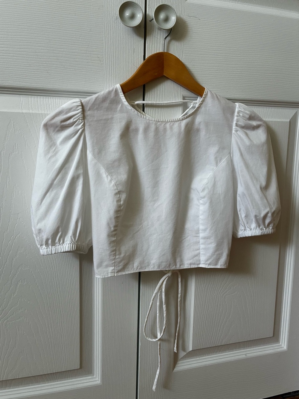 Sun-deh (Sunday best) Aritzia Cropped puff sleeves top